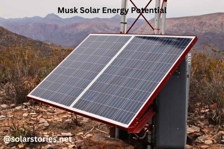 musk solar energy potential